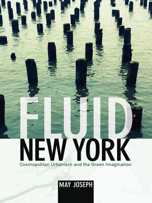 cover image of Fluid New York